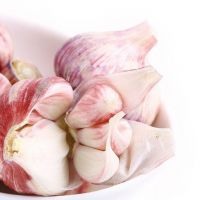 2020 New crop garlic price/ organic garlic / galic/ garlic peeled