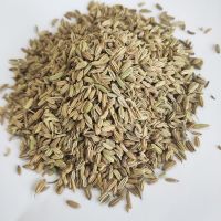 ISO Certified Cumin Seeds  Best Exporter