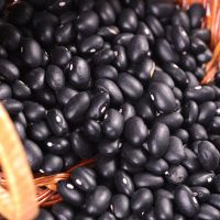 Black Kidney Beans