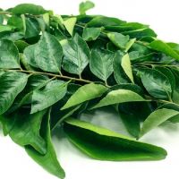 fresh Curry leaves