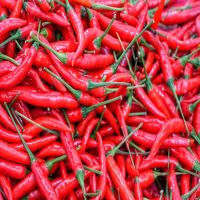 Red Chilli