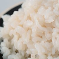 low carb Konjac glucomannan white rice konjac rice