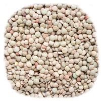 100% Natural Lentils, Lentils beans