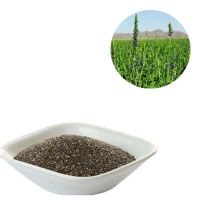 Natural Black Chia Seeds (1.5 Lb, 680 gms)