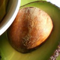 quality FRESH & DRIED AVOCADO SEEDS FOR SALE