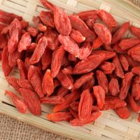 Top Quality Ningxia Wholesale Organic Wolfberry Dried Red Goji Berry