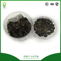 Hybrid black skin winter gourd seeds good germination