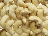 Cashew Nuts Cashew Nut Size W180 W240 W320 W450 Certified WW320 Dried Cashew for Sale
