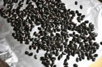 Black Water Melon Seed