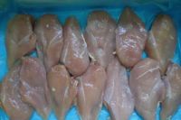 Whole sale Halal Frozen Chicken Breast , Skinless Boneless Chicken Breast Fillets