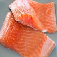 Fresh and Frozen Salmon Fish Suppliers of Salmon Fish