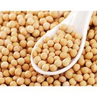 Cheap soy bean seeds / High Protein Soybean non gmo