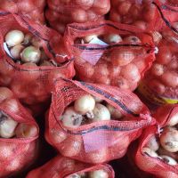 Wholesale Fresh Onion For Sale Fresh Onion Export To Abidjan Export Fresh Onion