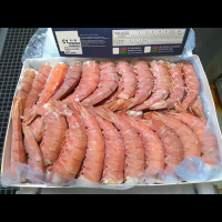 Seafood Frozen Fresh Argentine Red Shrimp Meat High Protein Frozen Shrimp