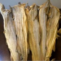 Dried StockFish