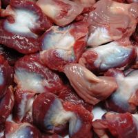 Best Quality Halal Frozen Chicken Gizzards For Sale