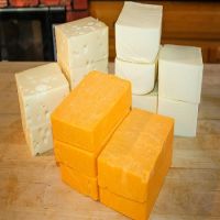 Analogue cheese (mozzarella, cheddar, gouda, edam) for sale