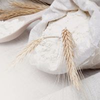 Wheat Flour for sale