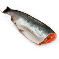 Fresh Salmon Fish for sale