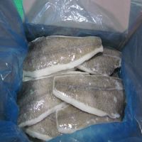 Frozen flounder fish for sale