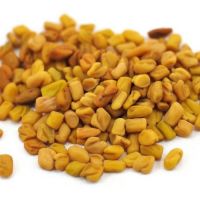 FENUGREEK SEEDS for sale