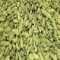 FENNEL SEEDS for sale