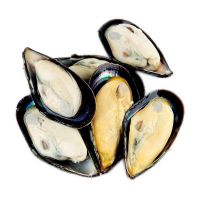 Frozen Half Shell Mussel for Sale