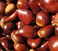Chestnuts for sale