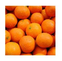 Fresh Mandarin for sale