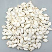 Snow white pumpkin seeds