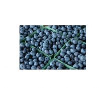 Fresh Blueberries for sale