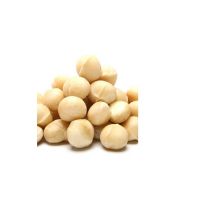 Organic Whole Raw Macadamia Nuts