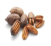 Pecan nut in shell