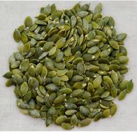 Pumpkin Seeds Kernel for sale