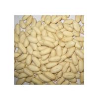 Blanched Peanut Kernel