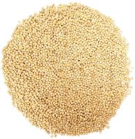 2020 Best Quality Organic Millet at Best Price for Wholesale Buyers