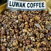 kopi luwak coffee