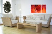 POLY RATTAN SOFA SET PRSF-021