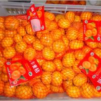 Fresh Oranges