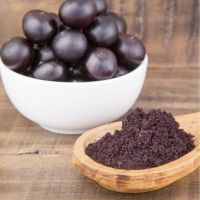 Acai powder from Brazil