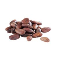 Quality Dried Cacao Beans / Cocoa- Beans