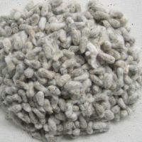 High Quality Cotton Seeds