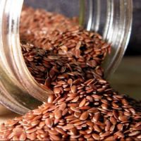 Flax seeds /Organic Flax seeds for sales