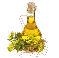 Best Quality Refined Pure Canola Oil