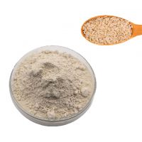 rice protein powder/pure rice protein powder/natural rice protein powder