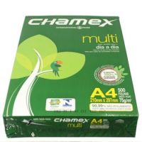 Chamex Copy Paper A4 Size Office Paper 80 gsm 5 Ream/Box