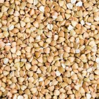 Wholesale High Quality Buckwheat With Best Price