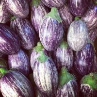 FRESH EGGPLANT Fresh WHITE black purple green eggplant Fresh Eggplant/ Iceberg Lettuce/ Cabbage mixed vegetables