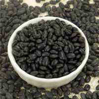 Wholesale High Quality Organic  Black Kidney Beans