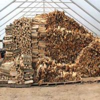 Best Quality Kiln Dried Birch/Oak/Beech/Ash/Hornbeam Firewood